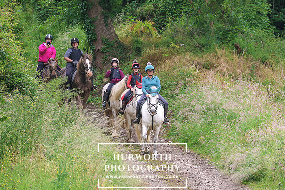 Hurworth Hunt 185