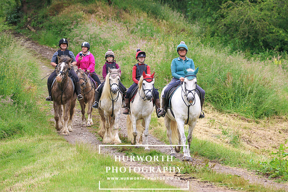Hurworth Hunt 186