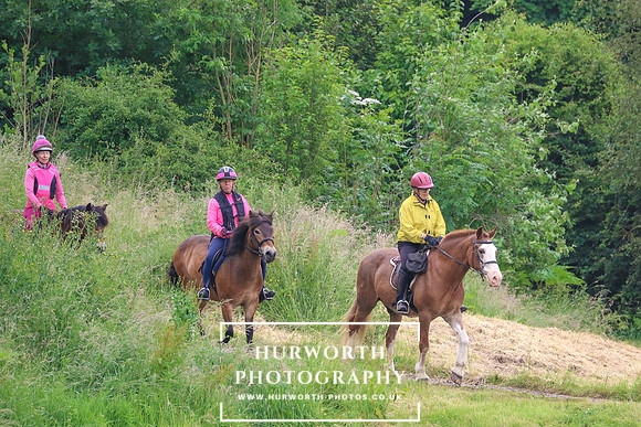 Hurworth Hunt 206