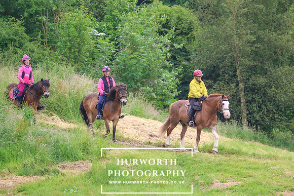 Hurworth Hunt 207