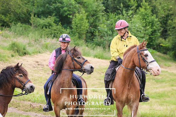 Hurworth Hunt 211