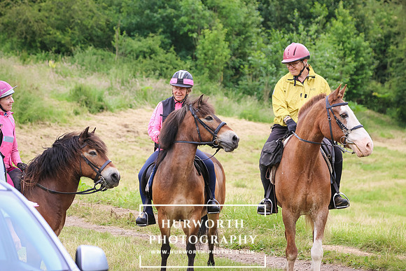 Hurworth Hunt 212