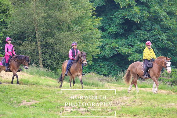 Hurworth Hunt 210