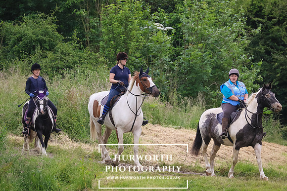Hurworth Hunt 223