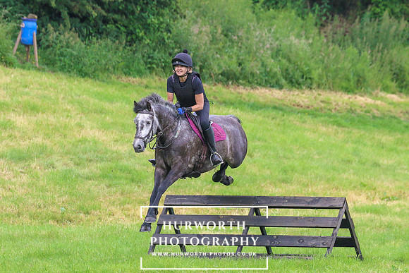 Hurworth Hunt 210