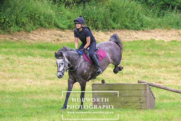 Hurworth Hunt 219