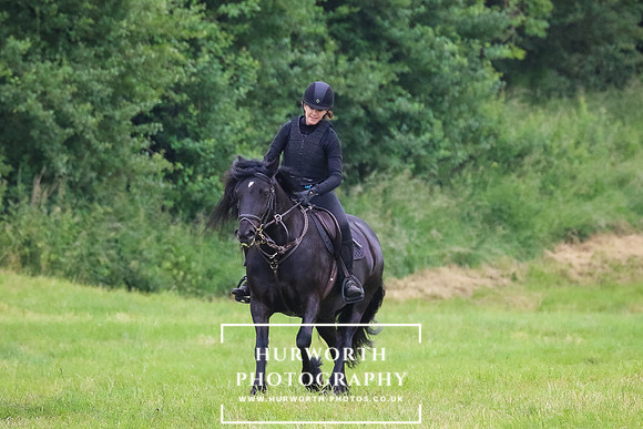 Hurworth Hunt 234