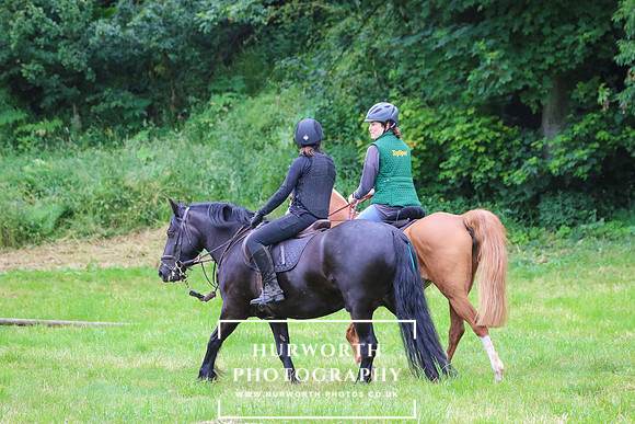 Hurworth Hunt 238