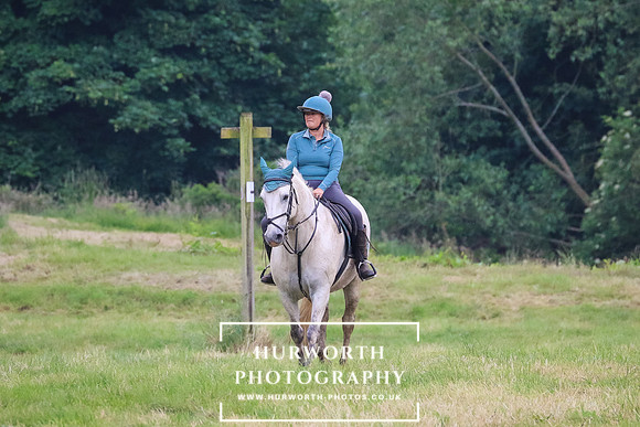 Hurworth Hunt 240