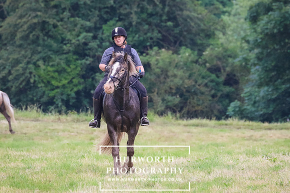 Hurworth Hunt 241