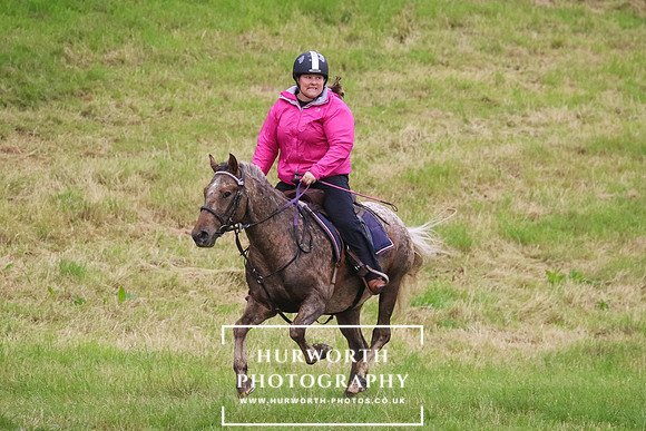 Hurworth Hunt 246