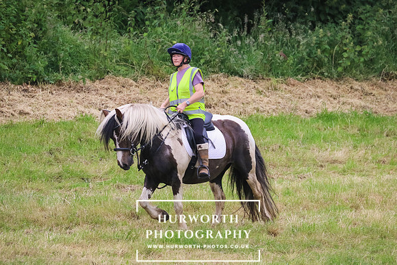 Hurworth Hunt 265