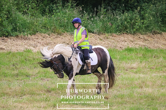 Hurworth Hunt 264