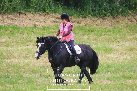 Hurworth Hunt 266