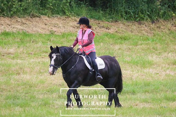 Hurworth Hunt 267
