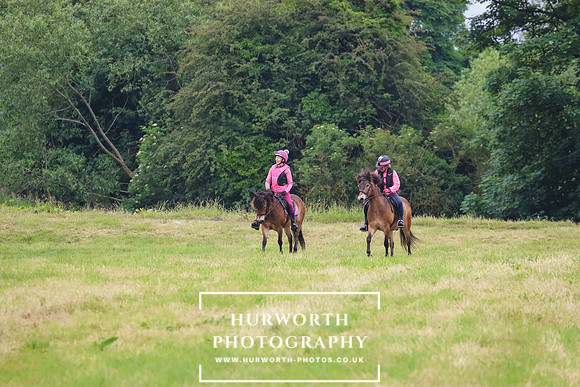 Hurworth Hunt 275