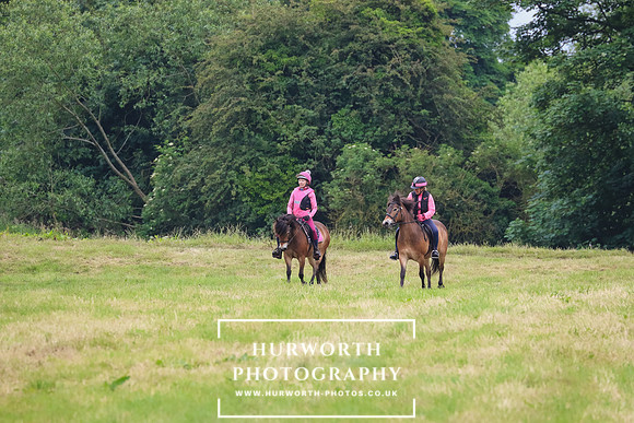Hurworth Hunt 276