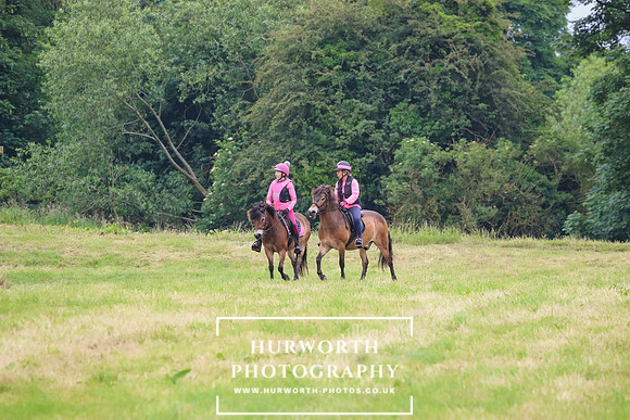 Hurworth Hunt 277