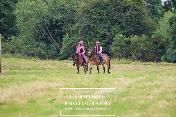 Hurworth Hunt 278