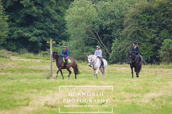 Hurworth Hunt 285