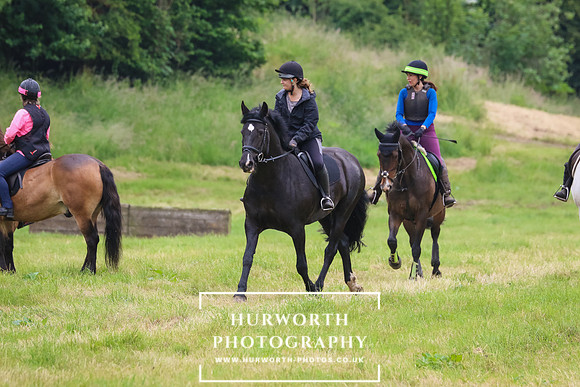 Hurworth Hunt 288
