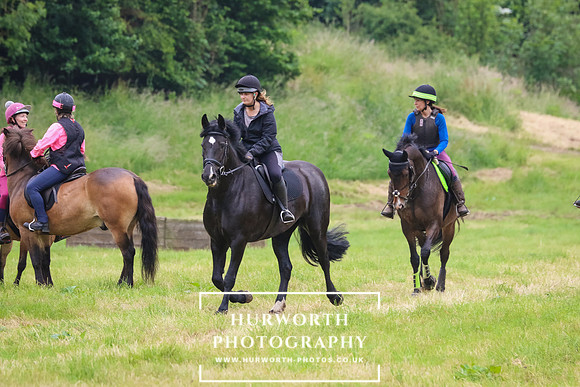 Hurworth Hunt 291