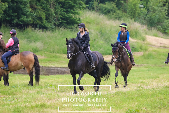 Hurworth Hunt 289