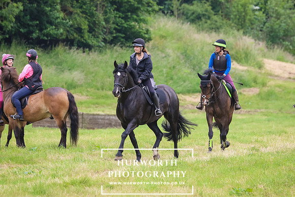Hurworth Hunt 290