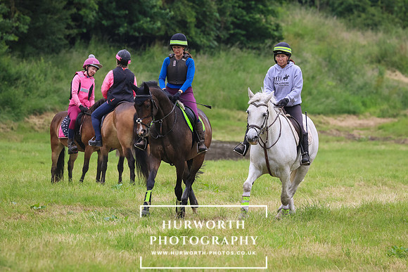 Hurworth Hunt 294