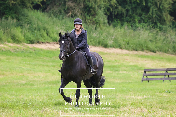 Hurworth Hunt 296