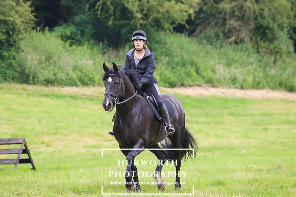 Hurworth Hunt 298