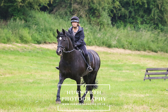 Hurworth Hunt 297