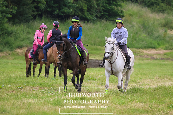 Hurworth Hunt 295