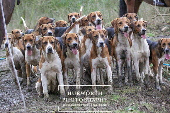 Hurworth Hunt 540