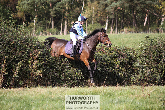 Hurworth Bilsdale Hedge Hop 318