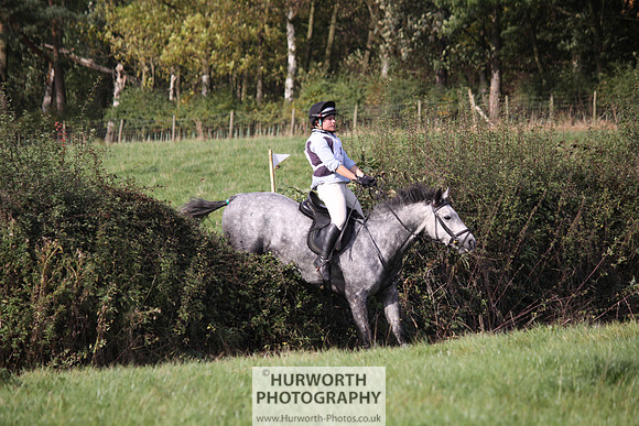 Hurworth Bilsdale Hedge Hop 533