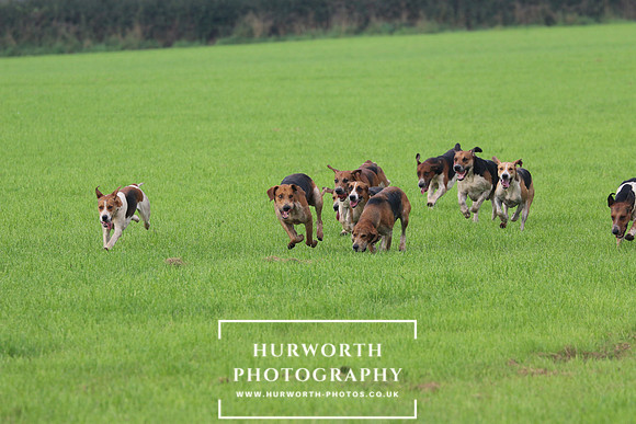 Hurworth Hunt 435