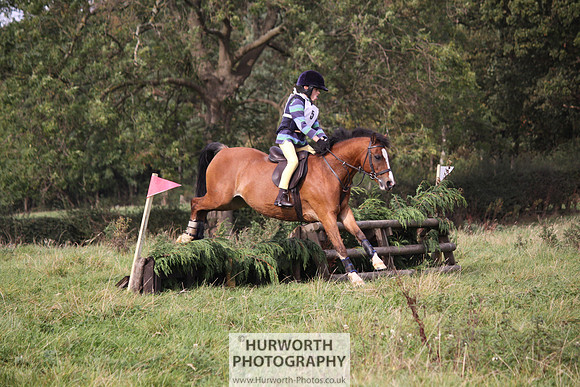 Hurworth Bilsdale Hedge Hop 078