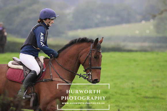 Hedge Hop 47