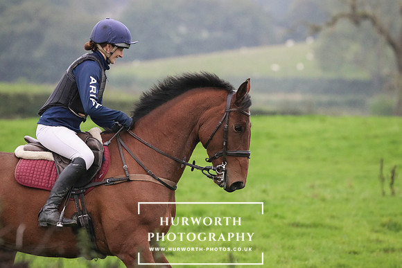Hedge Hop 48
