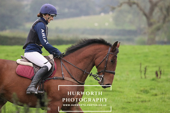 Hedge Hop 49