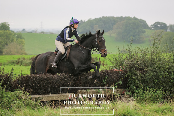 Hedge Hop 108