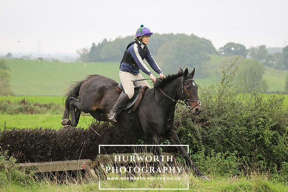 Hedge Hop 109