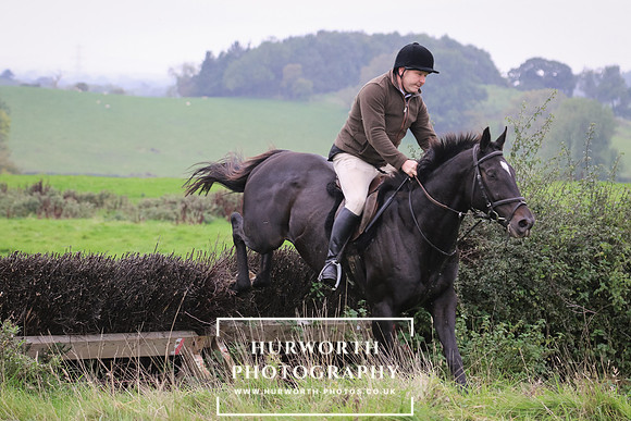 Hedge Hop 112