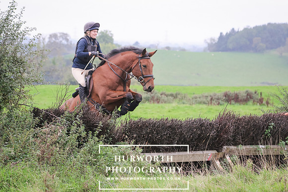 Hedge Hop 113