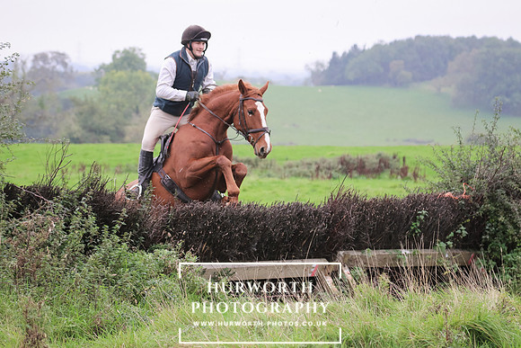 Hedge Hop 117