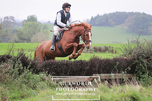 Hedge Hop 118
