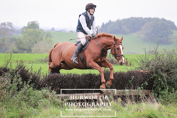 Hedge Hop 119