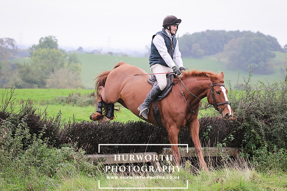 Hedge Hop 120