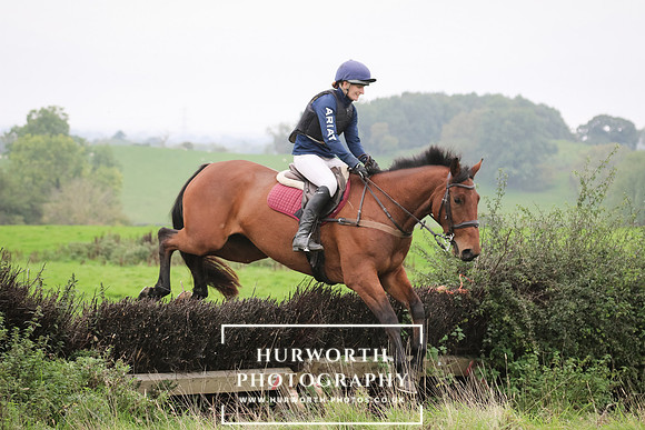 Hedge Hop 123
